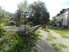 Gîte des Sapins Roses